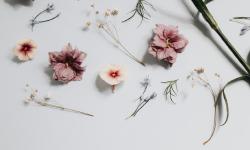 Featured image of post English Grammer